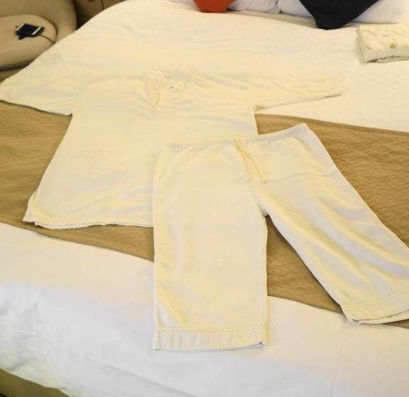 חדר סטנדרט, City Plaza Osaka