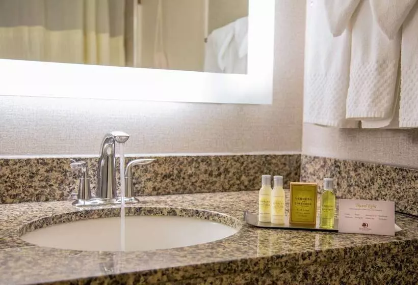 ２ダブルベッドのスタンダードルーム, Doubletree By Hilton Las Vegas Airport