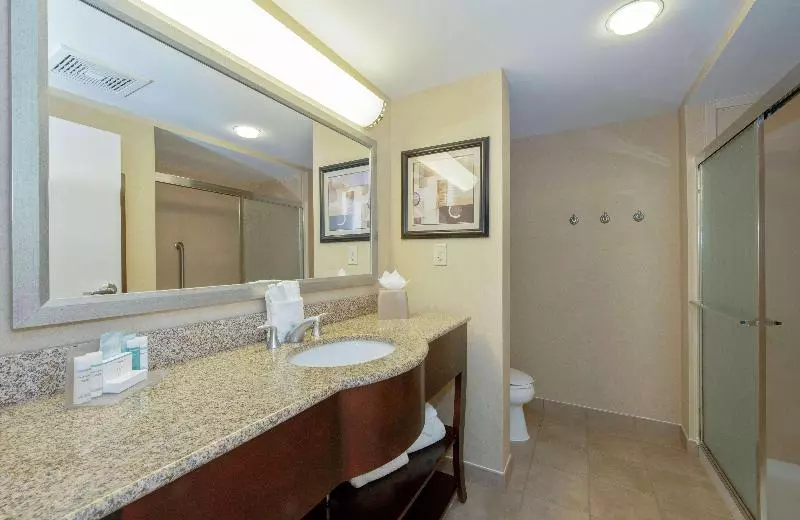Deluxe-huone King-vuode, Hampton Inn & Suites Burlington, Nc