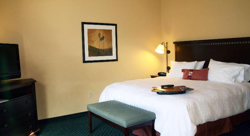 غرفة قياسية سرير كينج, Hampton Inn & Suites Seal Beach
