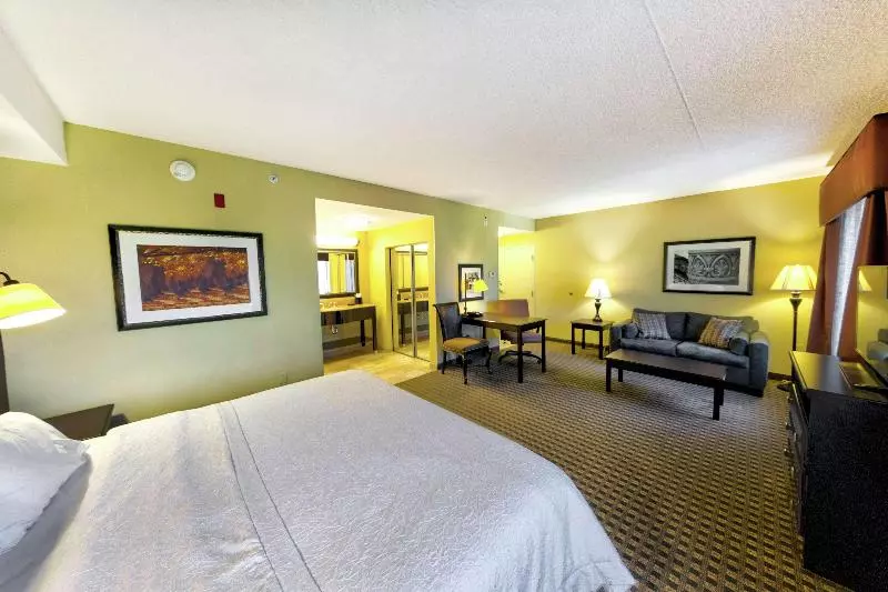 キングサイドベッドのスタンダードワンルーム, Hampton Inn & Suites Chadds Ford
