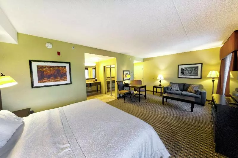 キングサイドベッドのスタンダードワンルーム, Hampton Inn & Suites Chadds Ford