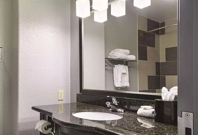 Deluxe-sviitti, La Quinta Inn & Suites By Wyndham South Dallas Hutchins