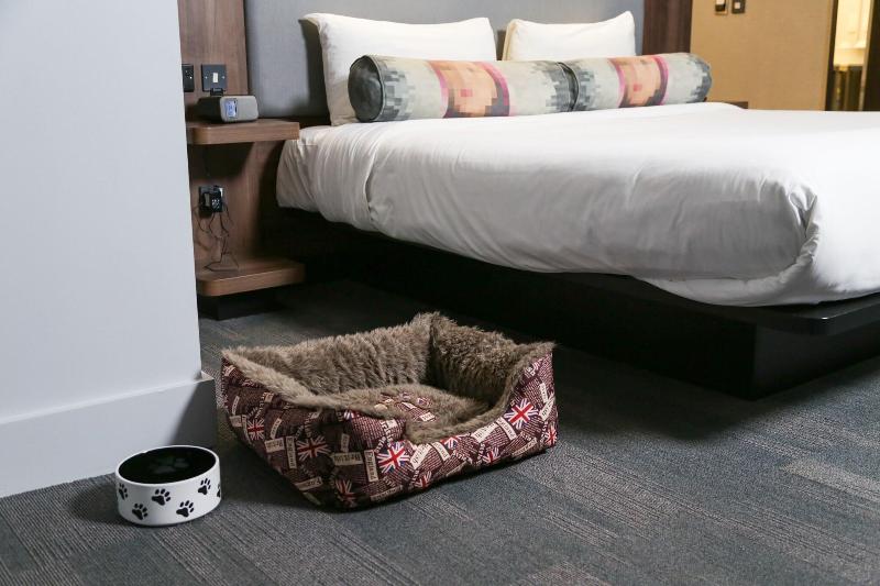 스탠다드 스튜디오, Patong Rai Rom Yen Resort Sha