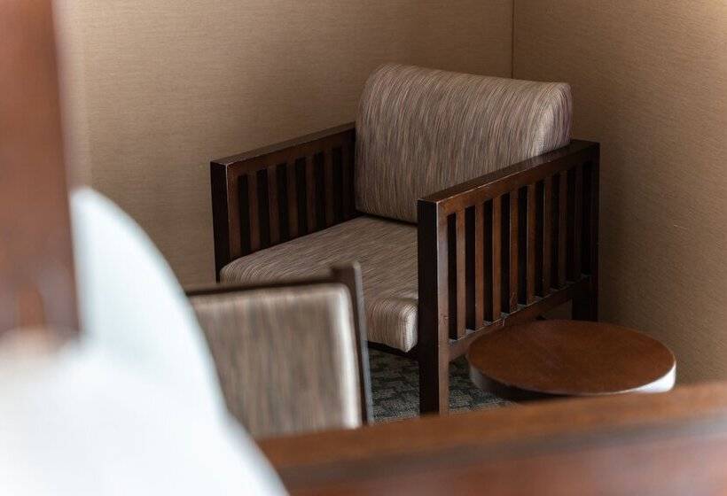 اتاق لوکس, Vista Premio Kyoto Kawaramachi St