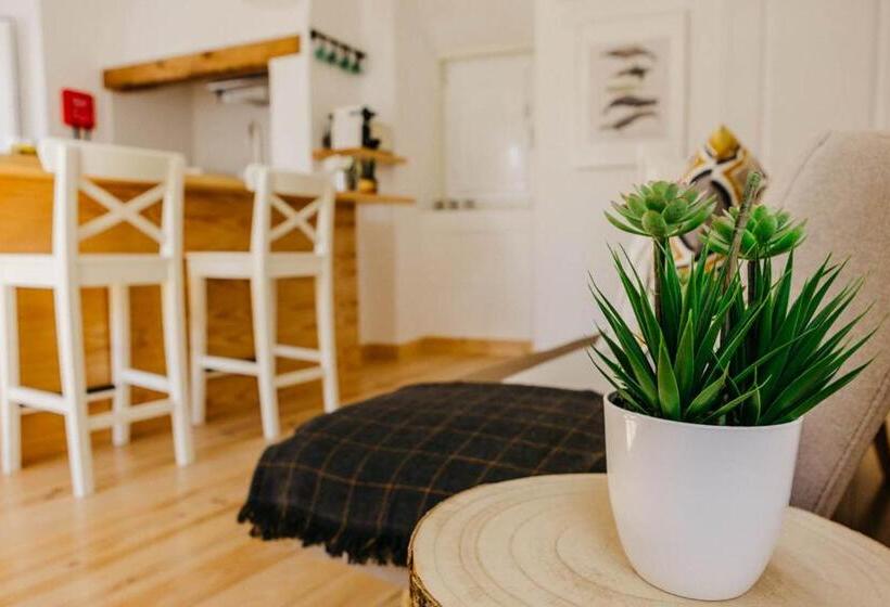 شقة ديلوكس غرفة نوم واحدة, Casa Roaz