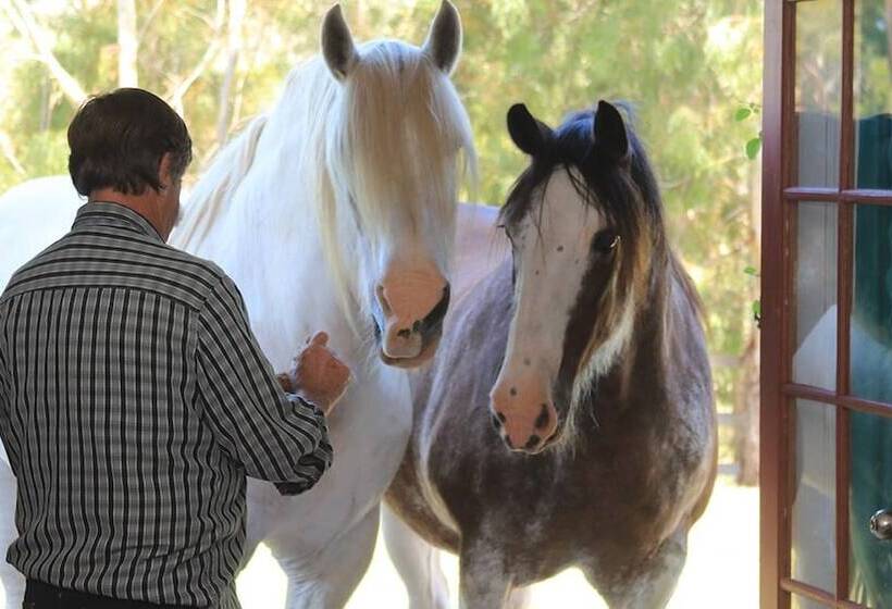 סוויטה אקזקיוטיב, Hatchers Richmond Manor