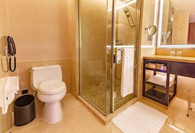 デラックスルーム, Parklane Hotel Changan