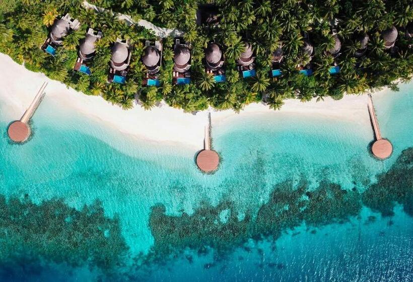ویلای 1 خوابه, W Maldives