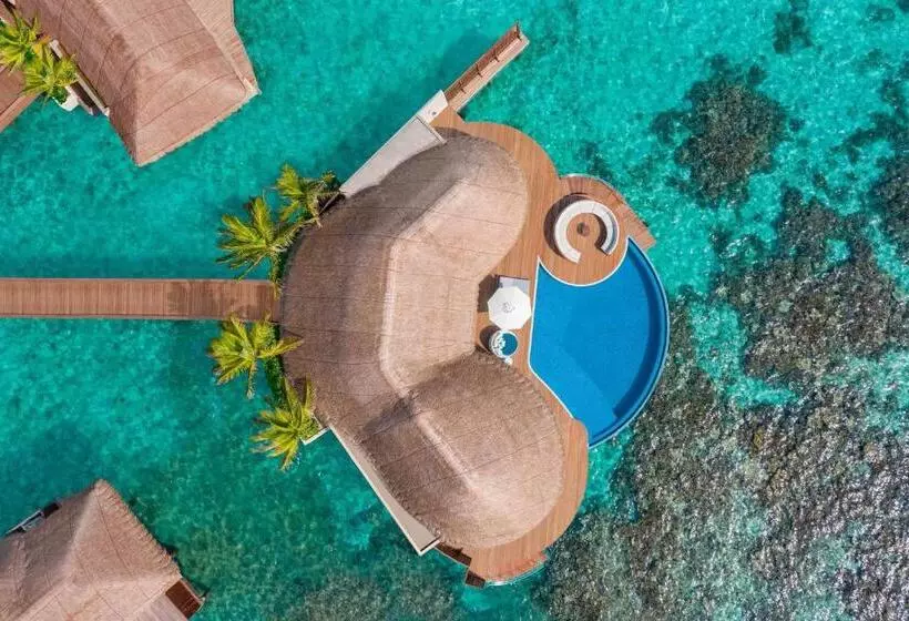 ویلای 2 خوابه, W Maldives