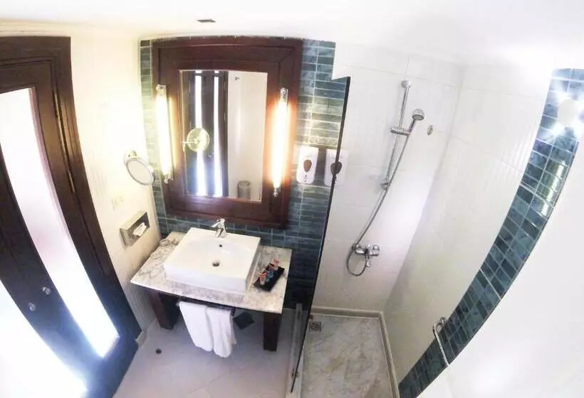 Standard swim-up room