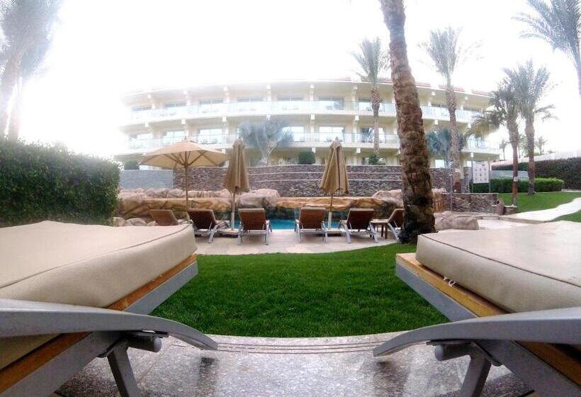 Standard swim-up room, Xperience Sea Breeze Resort