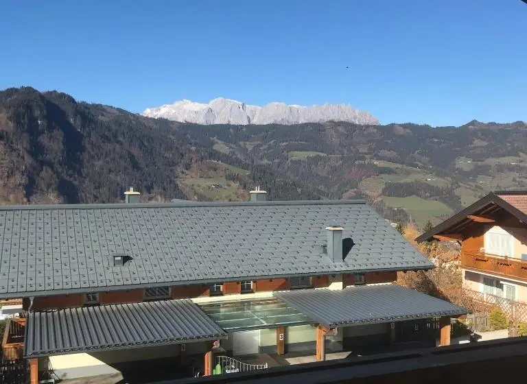 バルコニー付き1ベッドルームアパートメント, Apartment Sonnblick