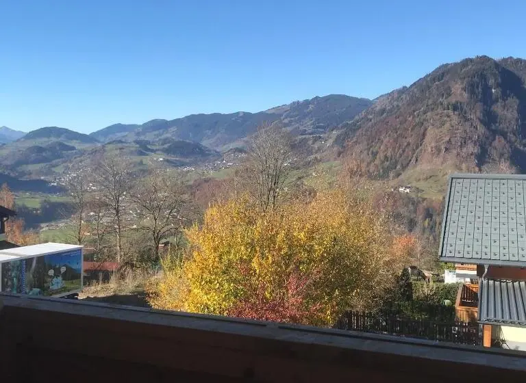 バルコニー付き1ベッドルームアパートメント, Apartment Sonnblick