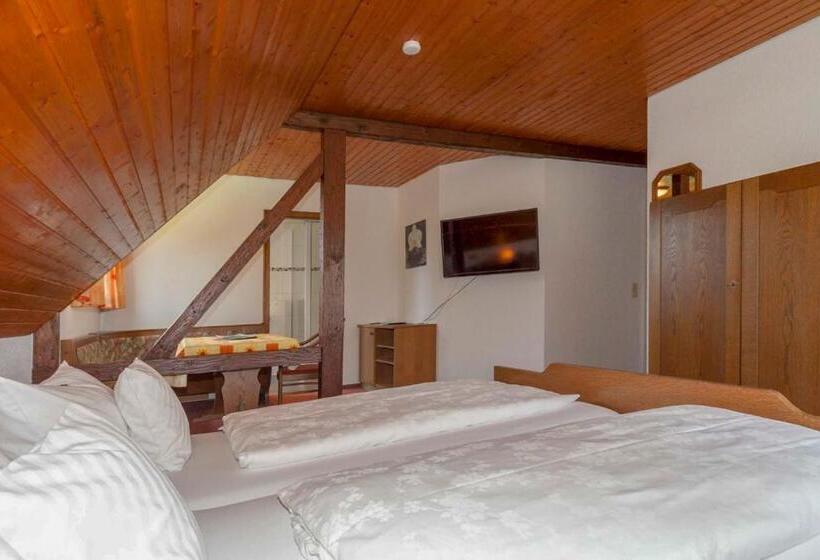 חדר סטנדרט, Pension Panoramablick