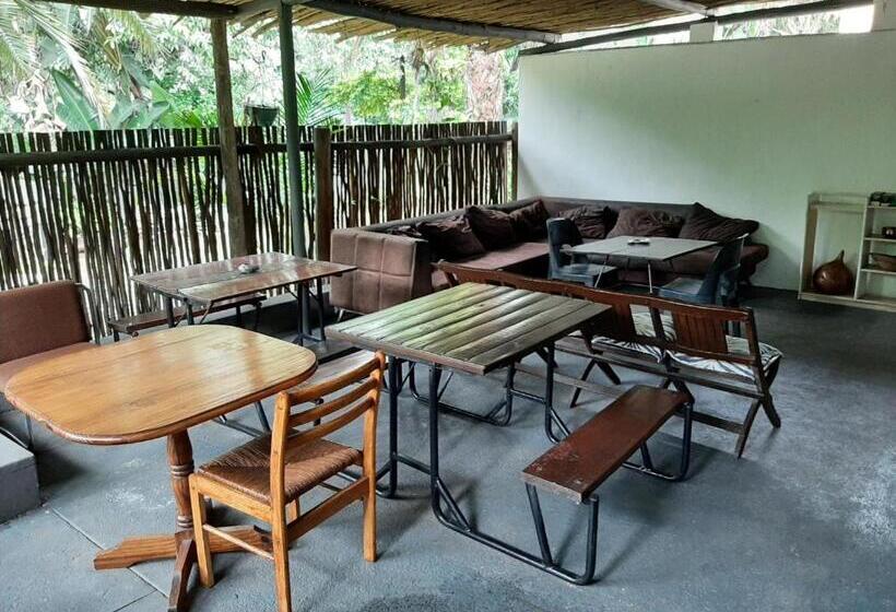 חדר סטנדרט, Elephant Walk Guesthouse And Back Packers