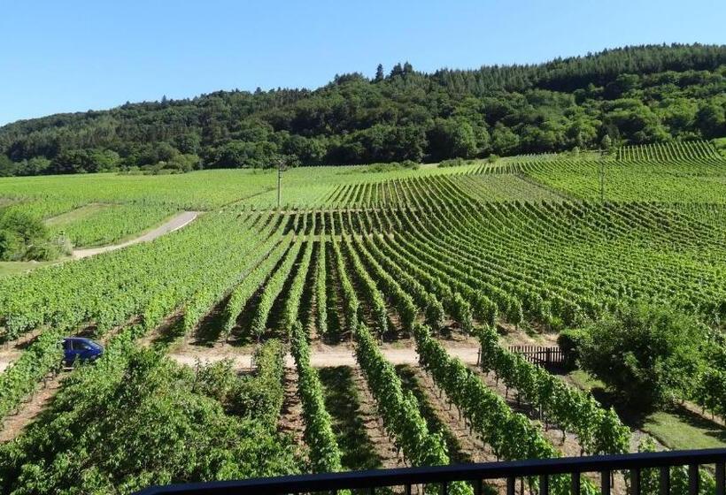 דירה בת חדר שינה 1 עם מרפסת, Haus Weingarten Appartements Zimmer