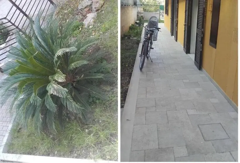 スイート（家族用）, House La Palma