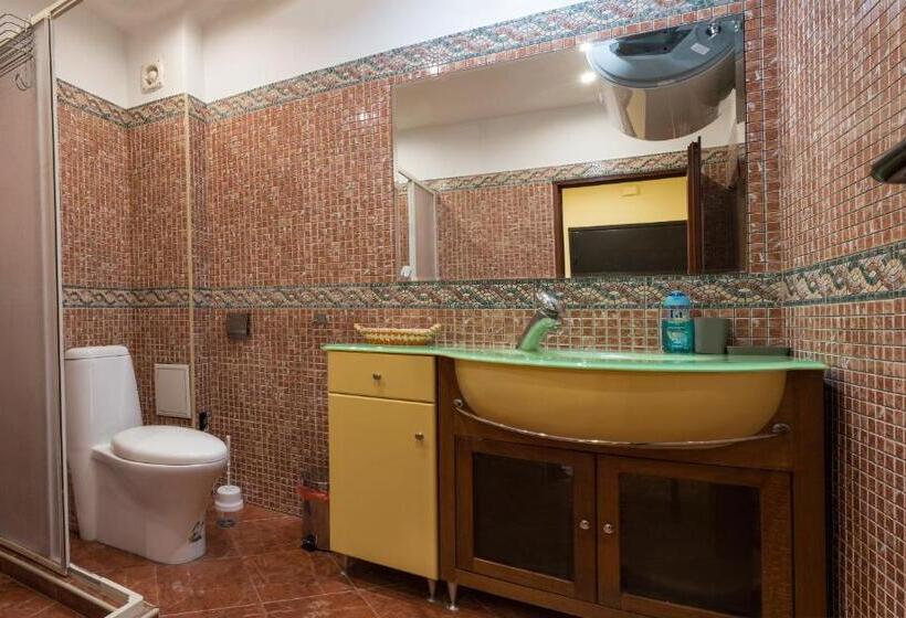 شقة غرفة واحدة مزودة بتراس, Apartments Nasini