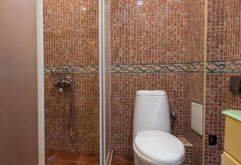 شقة غرفة واحدة مزودة بتراس, Apartments Nasini