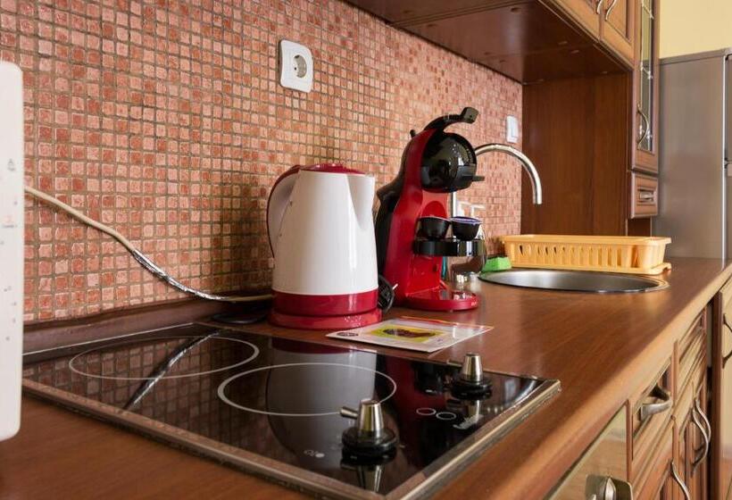 شقة غرفة واحدة مزودة بتراس, Apartments Nasini