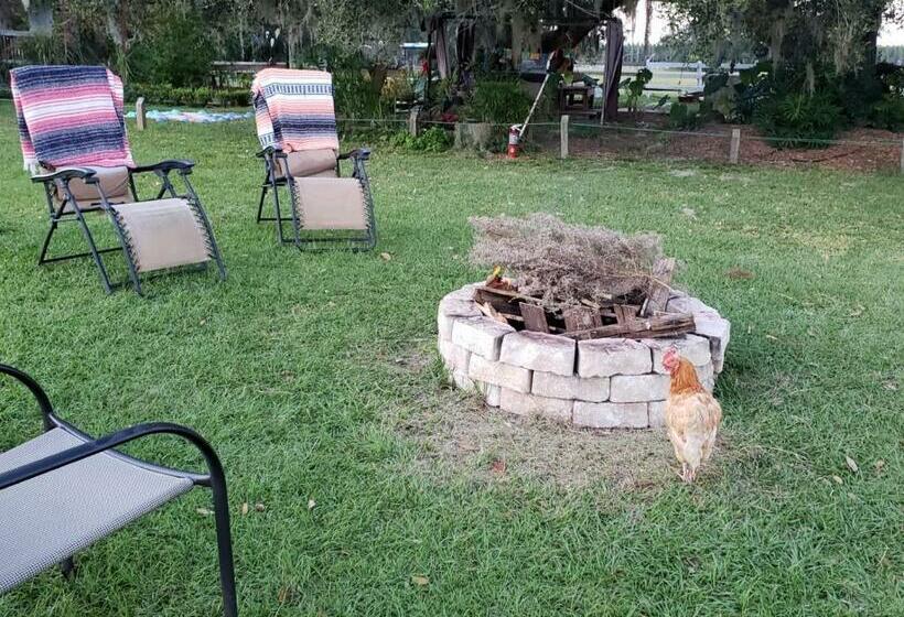 إستوديو قياسى مطلّ علي الحديقة, Kokomo Farms