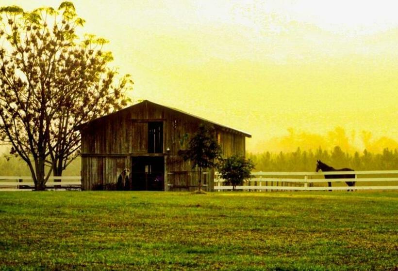 Бунгало Стандарт, Kokomo Farms