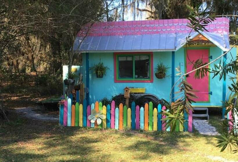 بنجلو قياسى, Kokomo Farms