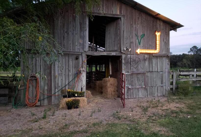 بنجلو قياسى, Kokomo Farms