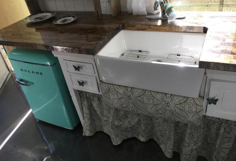 بنجلو قياسى, Kokomo Farms