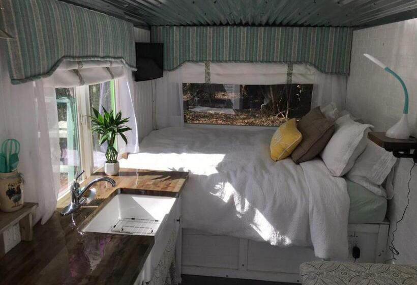 بنجلو قياسى, Kokomo Farms