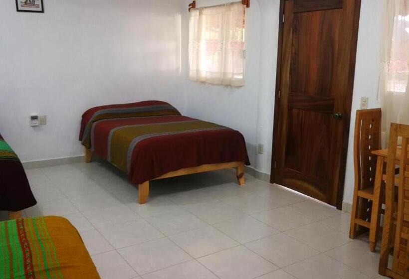 اتاق استاندارد سه نفره, Pie De Playa La Ropa