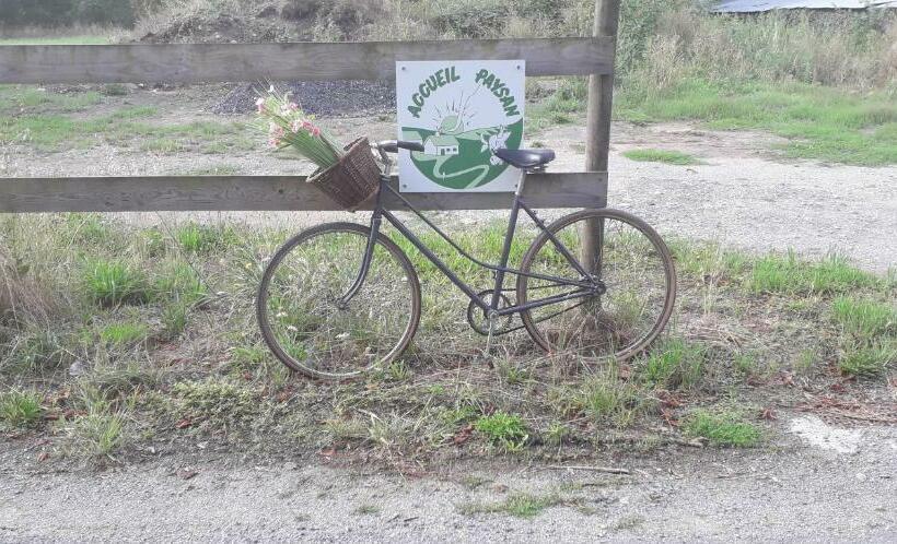 Номер Deluxe, Au Fabuleux Festin