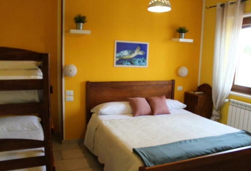 Четырехместный Номер Стандарт, Casa Mita