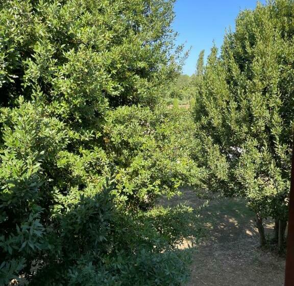 标准间, Taverna Dei Guelfi