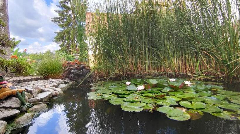 高级大房间, Au Bunker 67