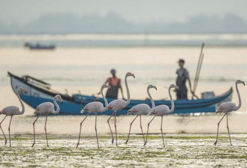 Апартаменты 2 Спальни, Beach House Babylon Guest House With Kitchenette And Garden