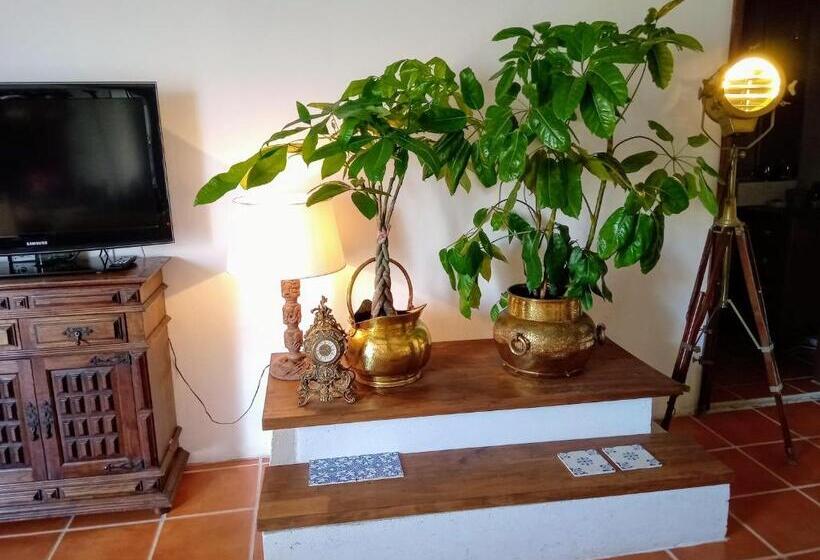 Апартаменты 2 Спальни, Beach House Babylon Guest House With Kitchenette And Garden