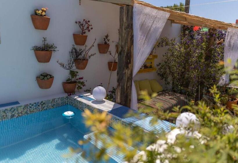 Номер Deluxe, Beach House Babylon Guest House With Kitchenette And Garden