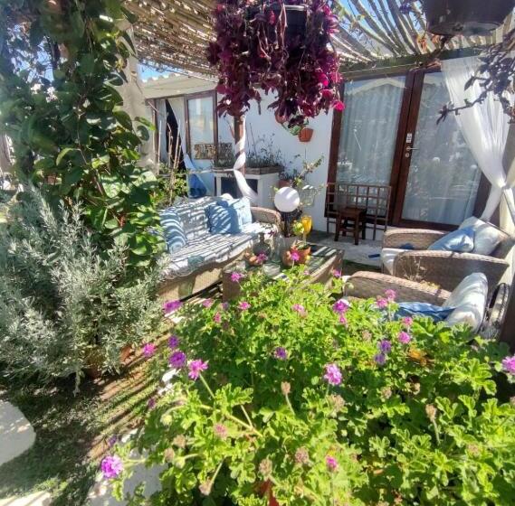 Дом 1 Спальня, Beach House Babylon Guest House With Kitchenette And Garden