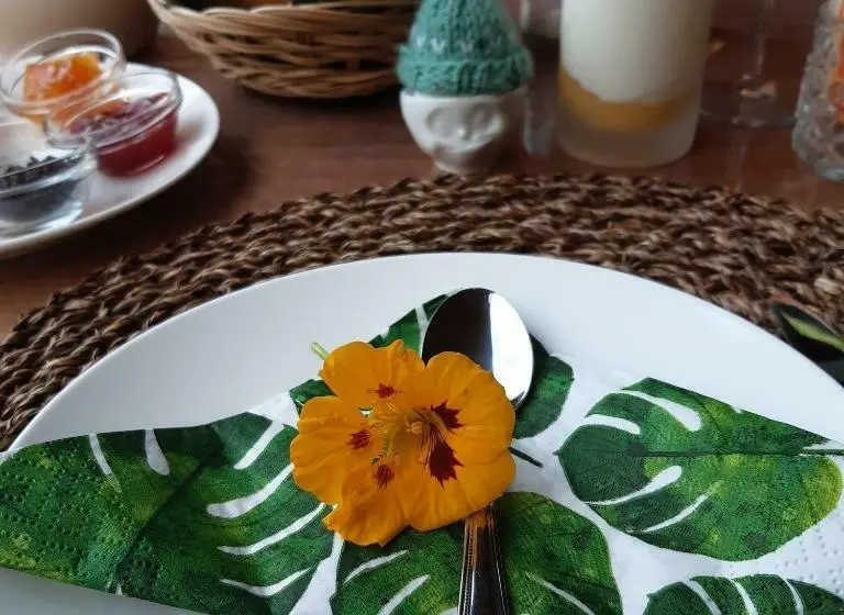 デラックスルーム, B & B Janneke Elsloo Friesland