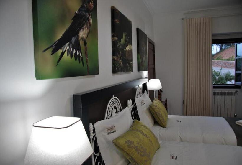 غرفة قياسية, O Casario