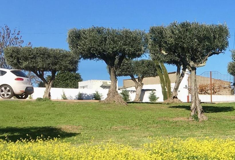 וילה בת 3 חדרי שינה, Aleixo S House | Alentejo