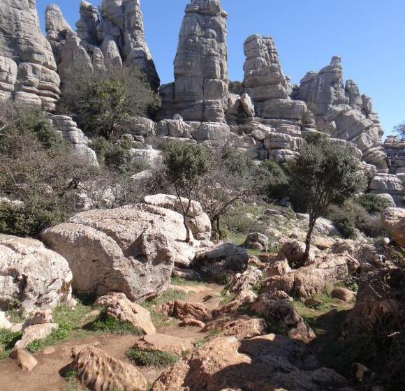 غرفة قياسية, B&b Casa Sarandy