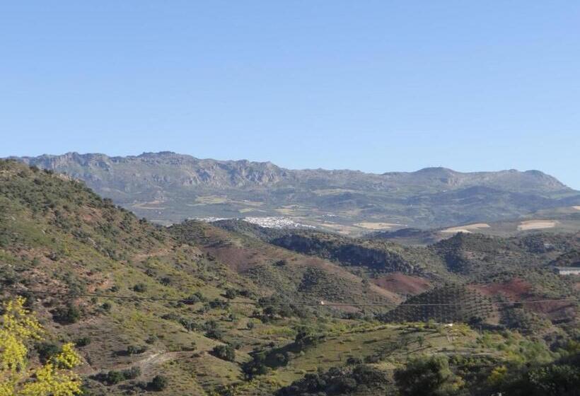 شقة غرفة واحدة, B&b Casa Sarandy