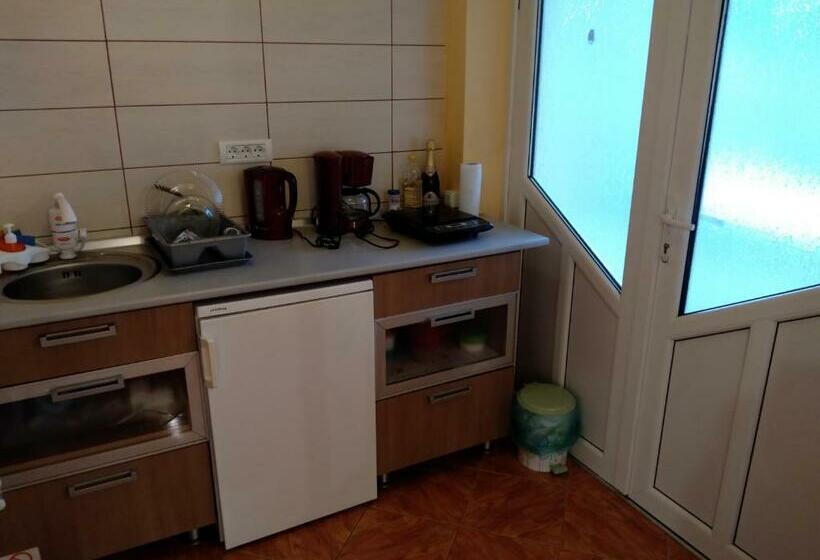 סטודיו סטנדרט עם מרפסת, Sibiu 33