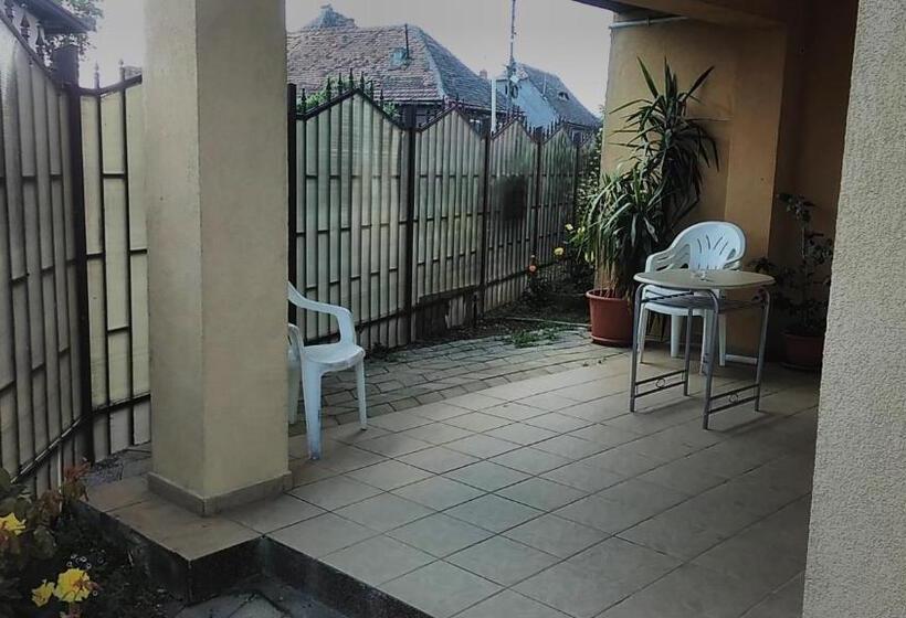 סטודיו סטנדרט עם מרפסת, Sibiu 33