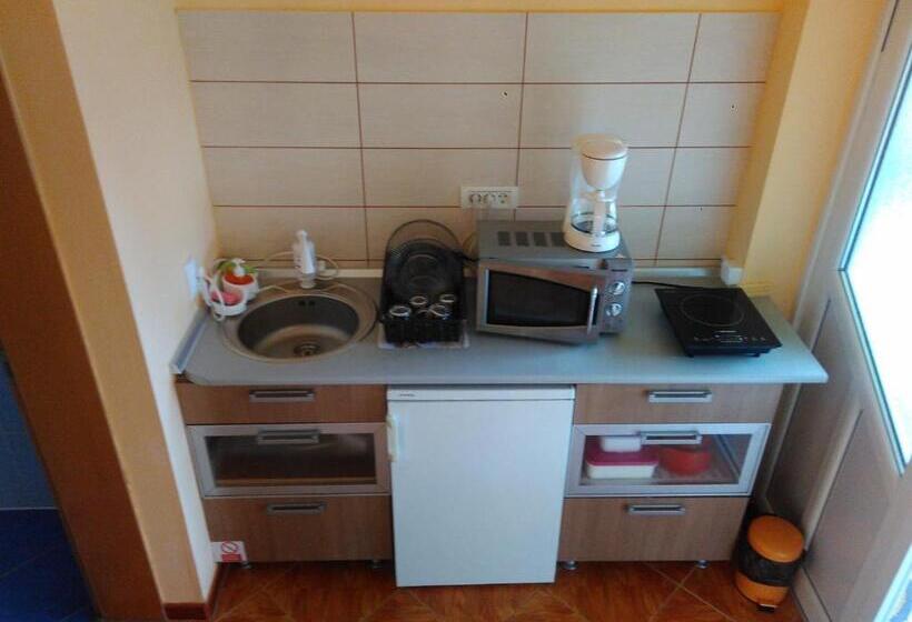 סטודיו סטנדרט עם מרפסת, Sibiu 33