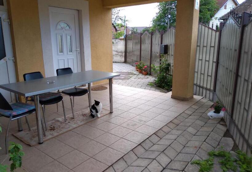 סטודיו סטנדרט עם מרפסת, Sibiu 33