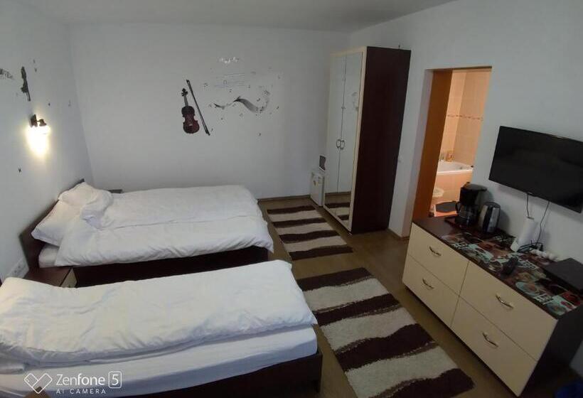 חדר סטנדרט לשלושה עם מרפסת, Sibiu 33